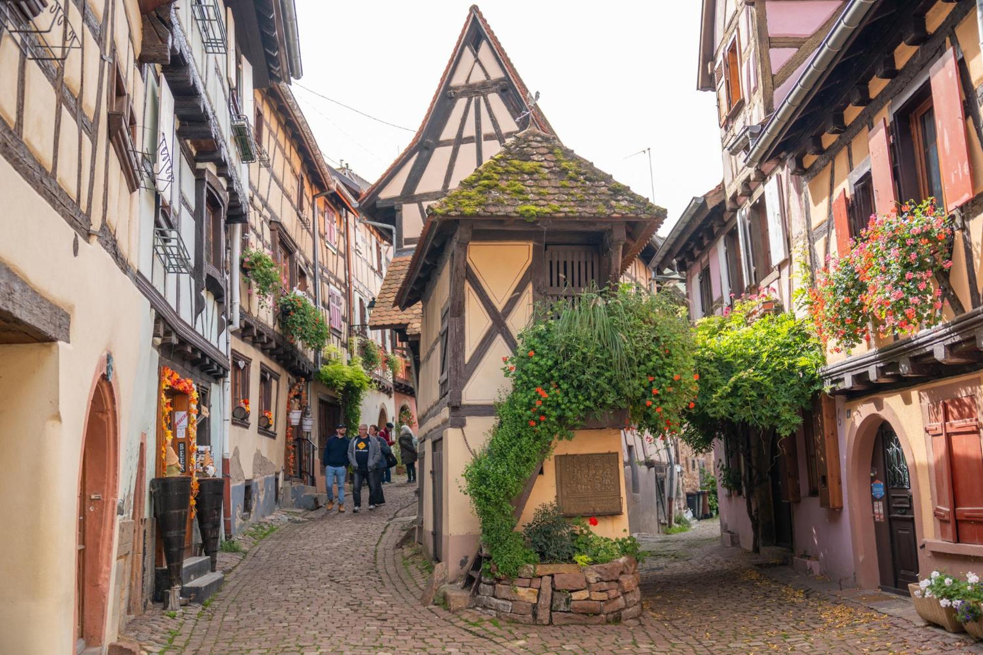 Chambre Rose Des Vents Eguisheim Eksteriør bilde