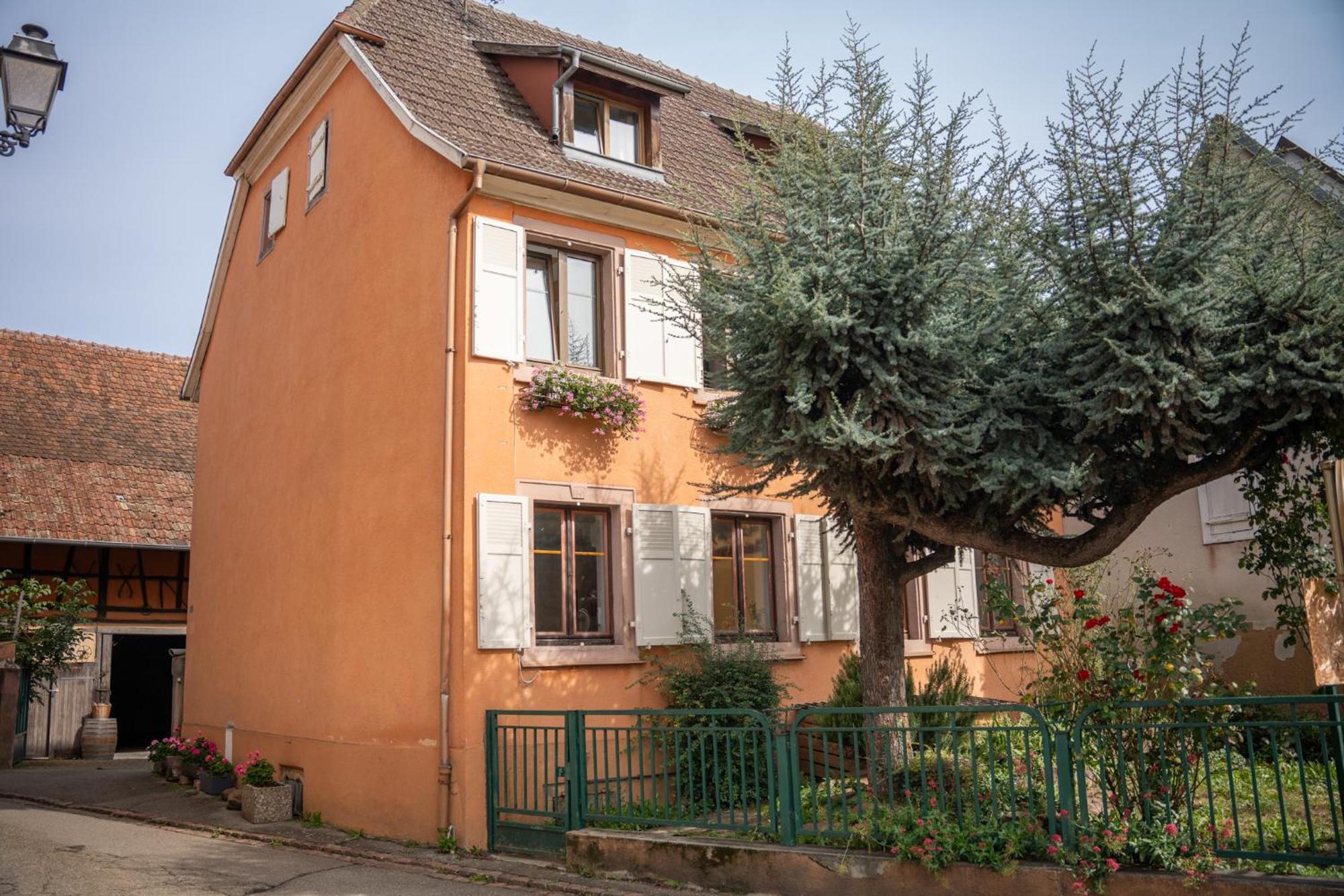 Chambre Rose Des Vents Eguisheim Eksteriør bilde
